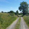 Piste au dbut de la randonne