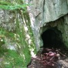 Grotte dans la fort