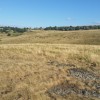 L'herbe dore par le soleil