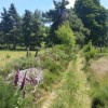 Monte dans la fort