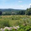 Vue sur les alentours verdoyants