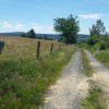 Le chemin