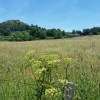 Le mont domine les lieux