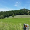 Belle vue sur ce mont lozrien