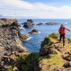 Le long des falaises 