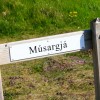 Musargja