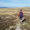 Sur le sentier venteux