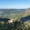 Au petit matin, la nature s'veille