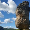 Le Vase de Svres