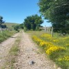 Dpart de la randonne 