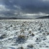 Bourrasques de neige sur l'Aubrac
