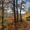 Sur le sentier qui grimpe