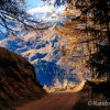 Le sentier est dj superbe