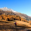 Au fond il y a mme un troupeau de chamois qui jouent