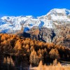Belle vue sur le Mont Pourri et les mlzes
