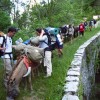 Randonner avec des nes sur le sentier cathare