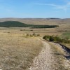 Le chemin  perte de vue
