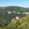 Dans les gorges verdoyantes
