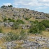 Un lger sentier passe par ici