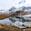 Reflet dans un laquet