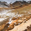 Randonne jusqu'au lac Blanc