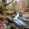 Balade dans la fort au milieu des cascades