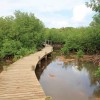 Une randonne trs peu frquente dans le marais de Port-Louis