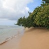 De retour le long de la plage du Souffleur