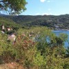 Le village de Deshaies au creux de la vgtation