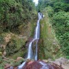 Dans le Parc National de la Guadeloupe