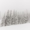 Brouillard givrant
