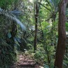 Le chemin grimpe dans de plus en plus