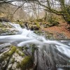 Nature en mouvement
