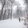 Progressions dans la neige le long de la piste