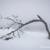 Conditions difficiles pour tout le monde