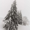 Habilles en neige