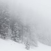 Brouillard givrant