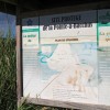 Site protg de la Pointe  Bacchus