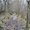 Nous sommes sur un chemin balis jaune