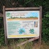 Balade dans la foret sche, le pied !