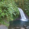 Au coeur de la vgtation, la cascade aux crevisses