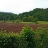 Dans la campagne environnante