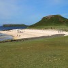 La plage recouverte d'exosquelettes