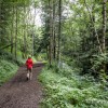 Large chemin sur la randonne des sources de la Dordogne