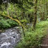 Sources de la Dordogne : cours d'eau et sentier