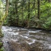 Cours d'eau des sources de la Dordogne