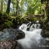 Une petite cascade dans la fort