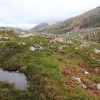 Sur le chemin qui mne au sommet