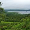 Dans la monte si on se retourne