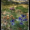 Vu sur le Pic d'Arlas